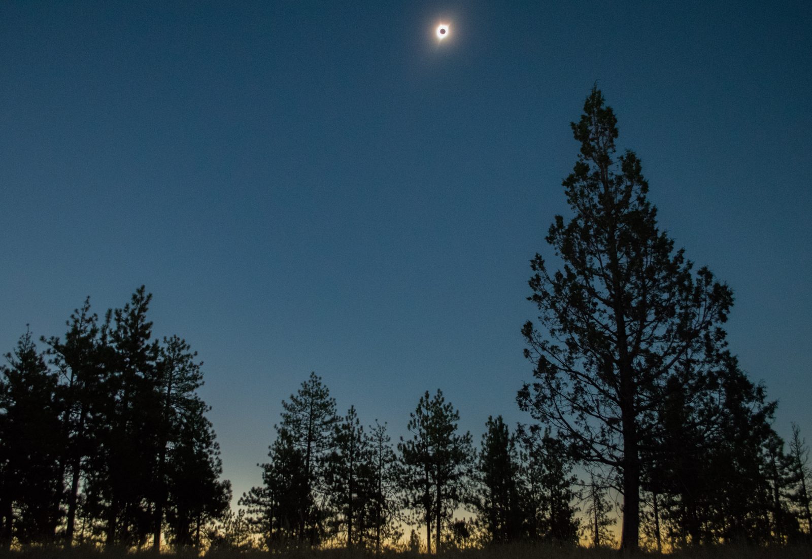 Total solar eclipse with the Sun’s white corona streaming around the darkened Moon
